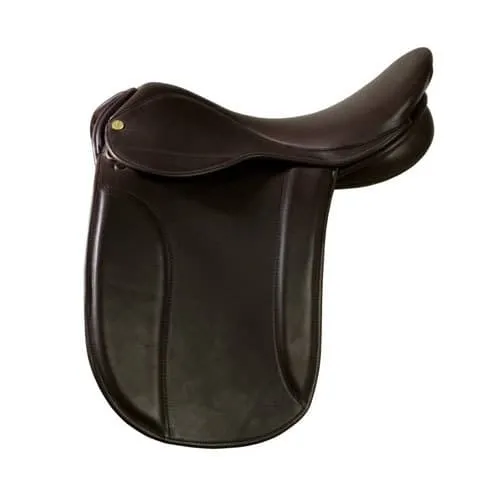 IDEAL Showing saddles