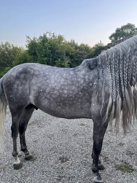 Most Saddles made to a Very Individual Specification for Fit