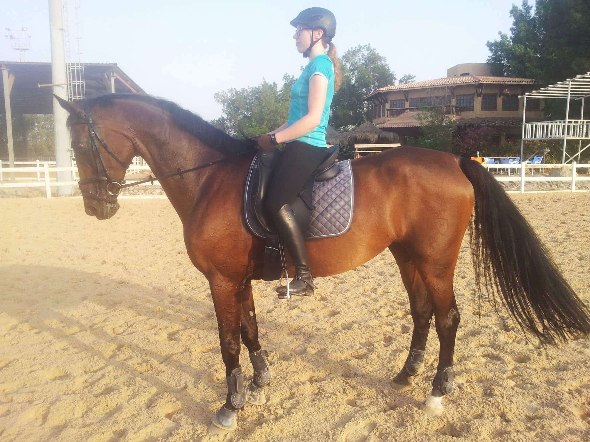 twilight_saddle_photo-min