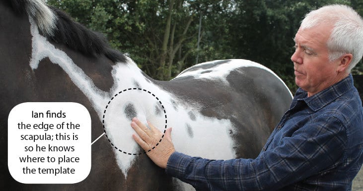 saddle-template1