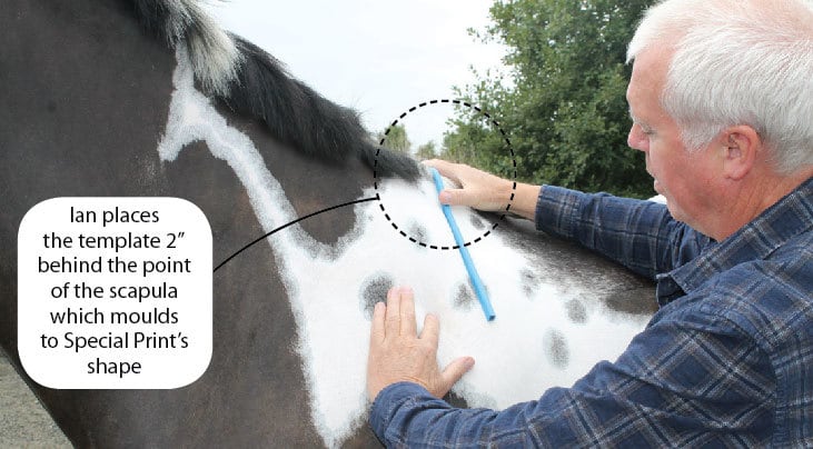 saddle-template2