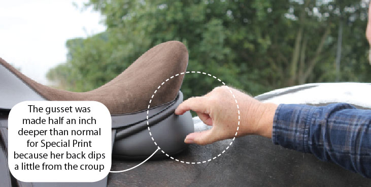 saddle-template3